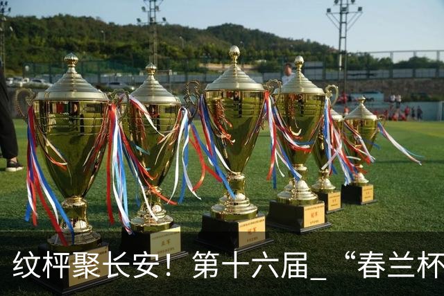 纹枰聚长安！第十六届 “春兰杯” 燃情启幕